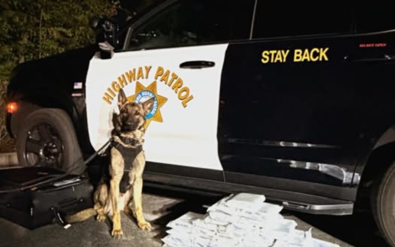 Fentanyl Bust: CHP Seizes 38 Kilograms of Fentanyl During Traffic Stop