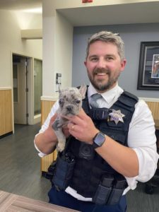 rescued stolen puppy - courtesy of chico pd