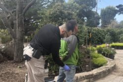 Assault At Local Park in Marina CA: Suspect Arrested on Multiple Charges