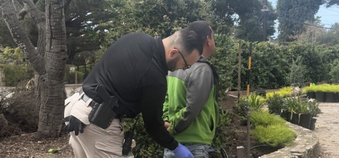 Assault At Local Park in Marina CA: Suspect Arrested on Multiple Charges