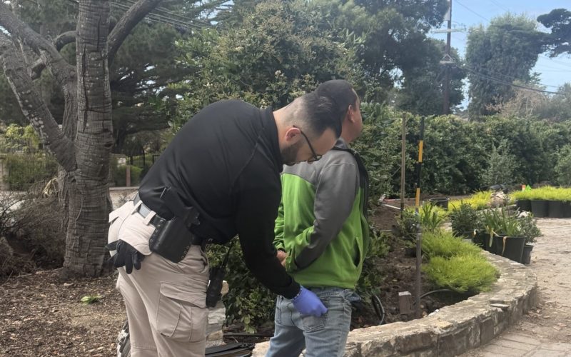 Assault At Local Park in Marina CA: Suspect Arrested on Multiple Charges