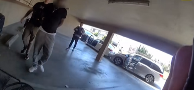 Suspect Arrested in Multi-State Lego Fraud Investigation