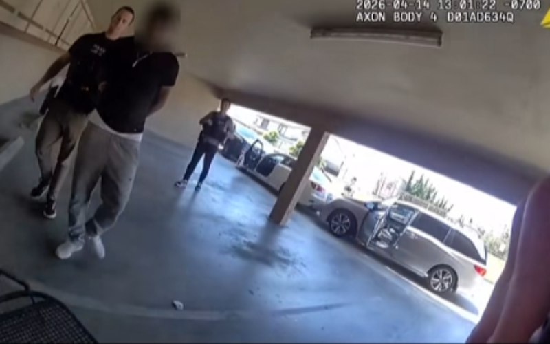 Suspect Arrested in Multi-State Lego Fraud Investigation