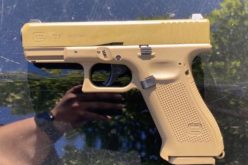 Two Woodland Suspects Arrested After Brandishing Pellet Gun During Target Theft