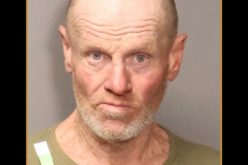 Armed Suspect Arrested in Arden Area Knife Incident