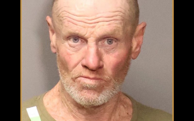 Armed Suspect Arrested in Arden Area Knife Incident