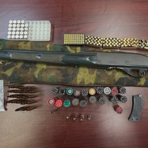 DHSPD - Firearm with ammo