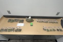 Two Apprehended & Drugs Seized Following Vehicle Pursuit, Crash, and Foot Chase