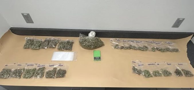 Two Apprehended & Drugs Seized Following Vehicle Pursuit, Crash, and Foot Chase