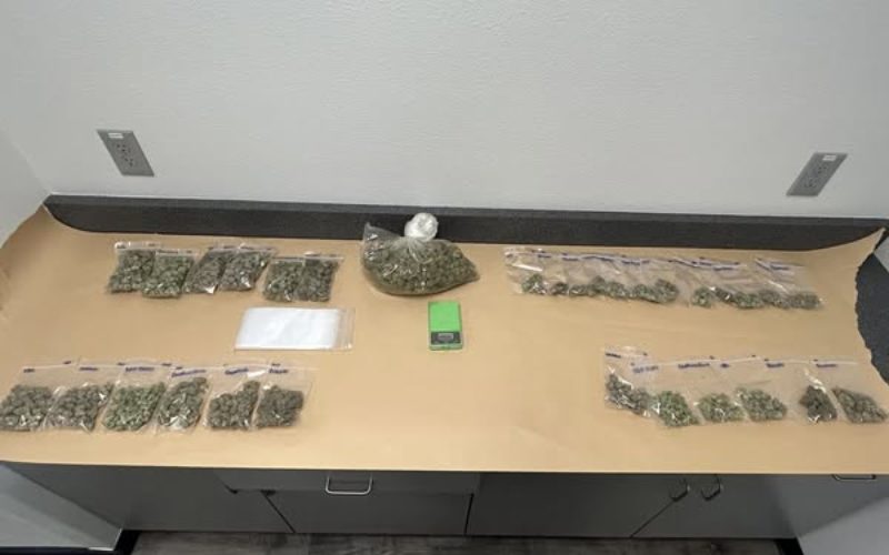 Two Apprehended & Drugs Seized Following Vehicle Pursuit, Crash, and Foot Chase