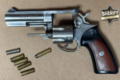 San Miguel Woman Arrested Following Shooting Incident on White Road in Parkfield