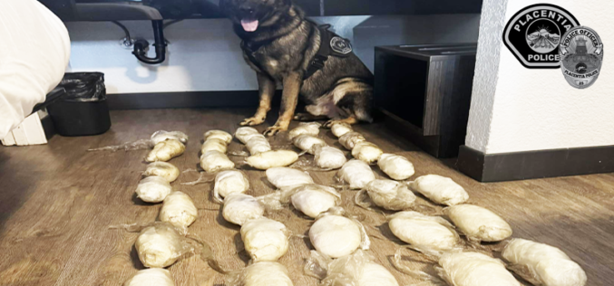 K-9 Unit Assists in Seizure of 38 Pounds of Methamphetamine During Vehicle Stop