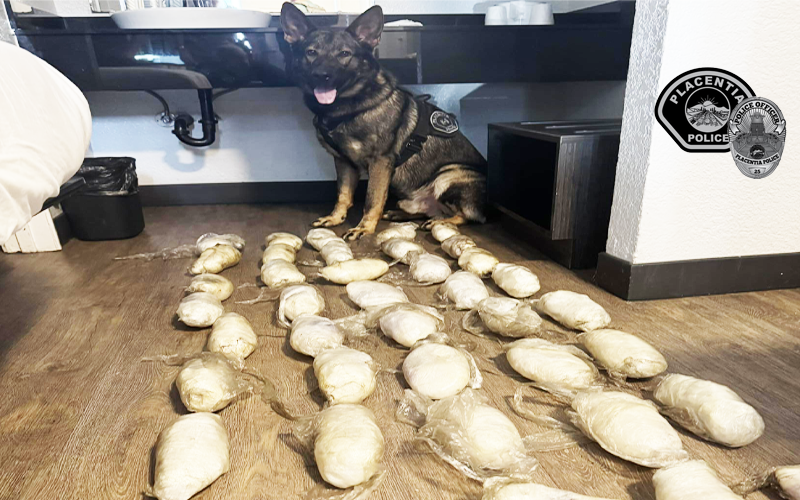 K-9 Unit Assists in Seizure of 38 Pounds of Methamphetamine During Vehicle Stop