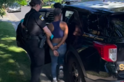 Coordinated Theft Suspects Arrested