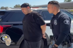 Suspect Arrested in Connection with 2024 Fatal Stabbing at Delhi Park