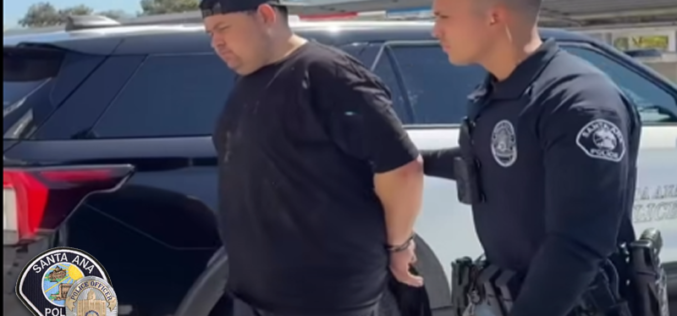 Suspect Arrested in Connection with 2024 Fatal Stabbing at Delhi Park