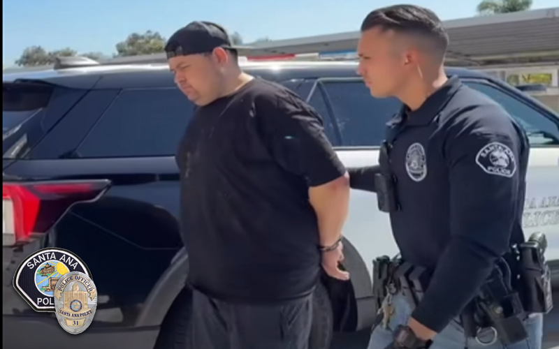 Suspect Arrested in Connection with 2024 Fatal Stabbing at Delhi Park