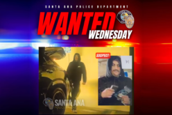 Santa Ana Police Seek Public Assistance in Identifying Vehicle Burglary Suspect