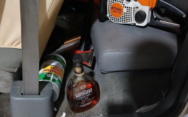 Individual Arrested for DUI and Assault Following Chainsaw Incident in Pine Grove