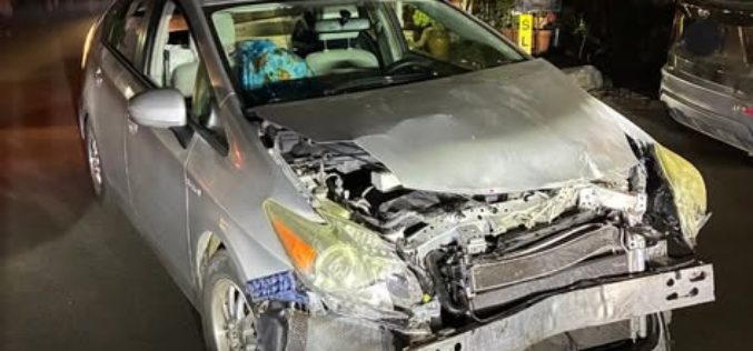 Driver Arrested on Multiple Charges After Reports of Public Disturbance Near Laguna Lake Mobile Estates