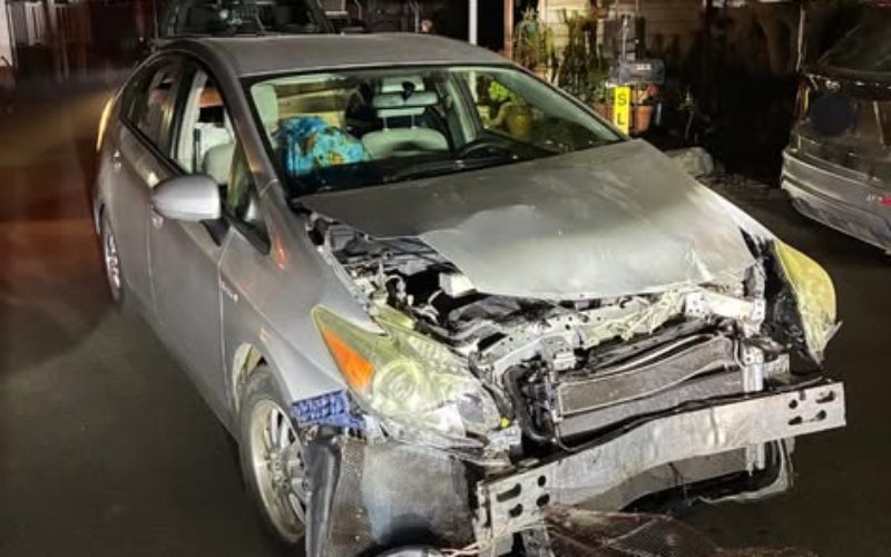 Driver Arrested on Multiple Charges After Reports of Public Disturbance Near Laguna Lake Mobile Estates