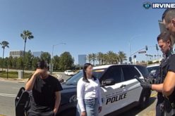 Two Arrested in Irvine for Multi-Store Lego Minifigure Theft Scheme