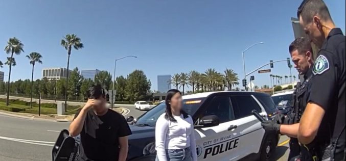 Two Arrested in Irvine for Multi-Store Lego Minifigure Theft Scheme
