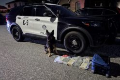 Placentia Police K-9 Unit Assists in Seizure of 10 Kilograms of Fentanyl During Vehicle Stop