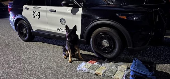 Placentia Police K-9 Unit Assists in Seizure of 10 Kilograms of Fentanyl During Vehicle Stop