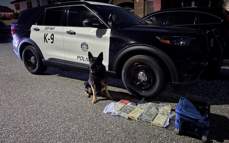 Placentia Police K-9 Unit Assists in Seizure of 10 Kilograms of Fentanyl During Vehicle Stop