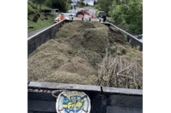 Solano County Auto Theft Task Force Reportedly Seizes Nearly 900 Pounds of Cannabis from Illegal Grow Operation