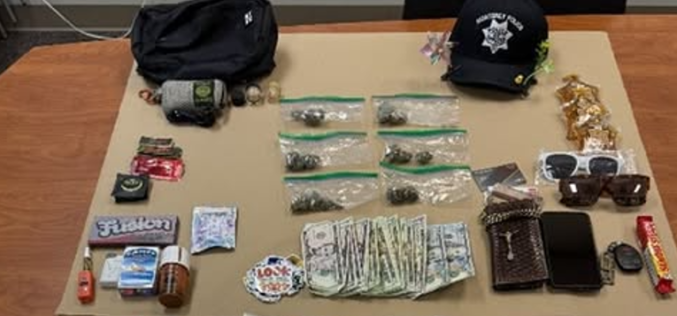 Suspect Arrested for Narcotics Possession and Sales at California Roots Festival
