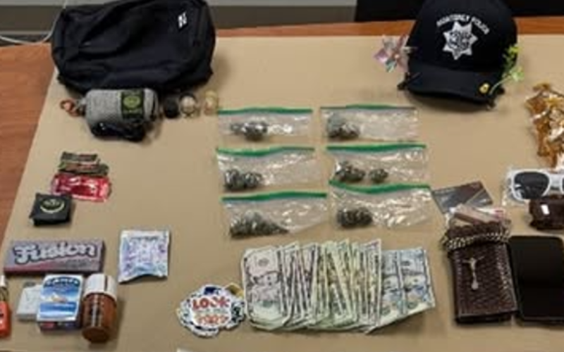Suspect Arrested for Narcotics Possession and Sales at California Roots Festival