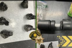 Winterhaven Bicycle Stop Leads to Significant Drug Bust