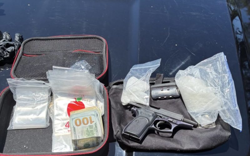 Suspect Arrested on Narcotics & Weapons Charges After Investigation by ACCNET and TNT