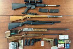 MET Team Search Warrants Results in Seizure of Firearms and Over 3,000 Marijuana Plants