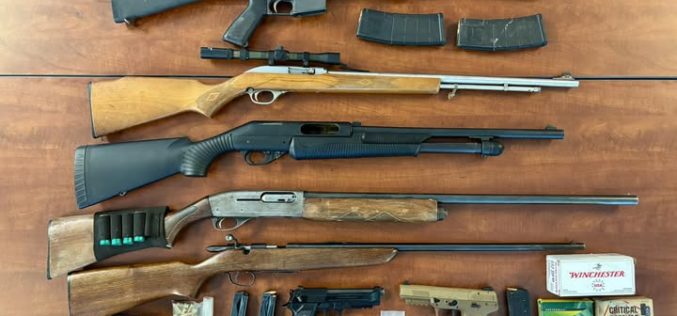 MET Team Search Warrants Results in Seizure of Firearms and Over 3,000 Marijuana Plants