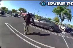 Walmart Shoplifting Suspect Arrested After Attempting to Evade Officers