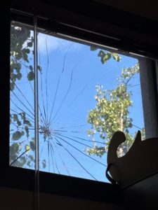 image of damage - courtesy of healdsburg police department
