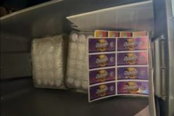 CHP Drug Bust on Interstate 5 Near Modesto