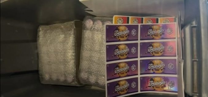 CHP Drug Bust on Interstate 5 Near Modesto