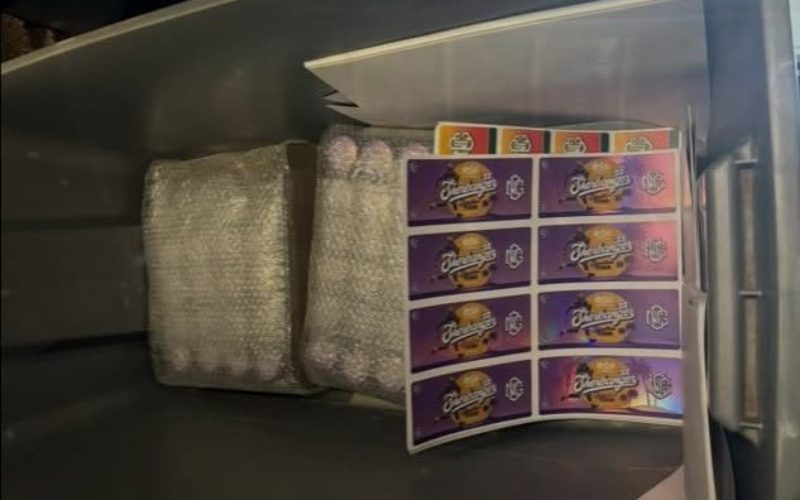 CHP Drug Bust on Interstate 5 Near Modesto