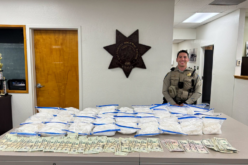 Routine Traffic Stop Leads to Large Methamphetamine Seizure near Visalia