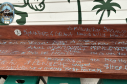 San Luis Obispo Police Arrest Man for Felony Vandalism at Local Delis