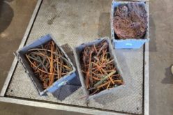 Agricultural Detectives Recover 185 Pounds of Stolen Copper and Metal Infrastructure Following Traffic Stop