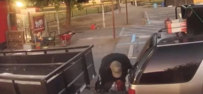 Stolen Murrieta Valley Pony Baseball Equipment Trailer Recovered & Suspect Arrested