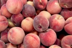 Three Arrested Amid “Ongoing Stone Fruit Thefts” in Fresno and Tulare Counties