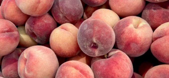 Three Arrested Amid “Ongoing Stone Fruit Thefts” in Fresno and Tulare Counties