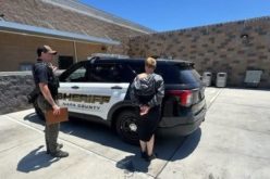 Detectives Use Flock Cameras to Track Storage Burglary Suspect; Vallejo Woman Arrested