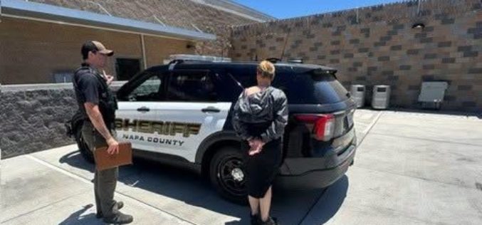 Detectives Use Flock Cameras to Track Storage Burglary Suspect; Vallejo Woman Arrested